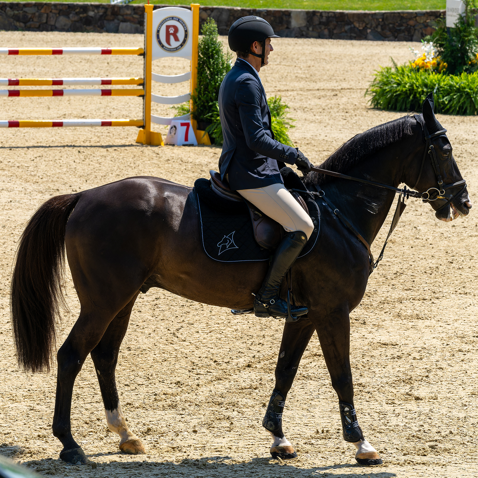Upperville Colt & Horse Show 2025